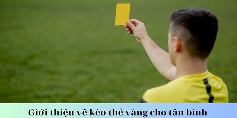 Giải đáp kèo thẻ vàng dễ hiểu với người mới Giải đáp kèo thẻ vàng dễ hiểu với người mới